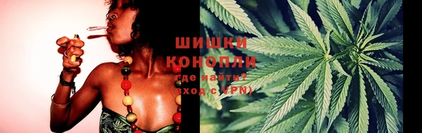шишки Кодинск