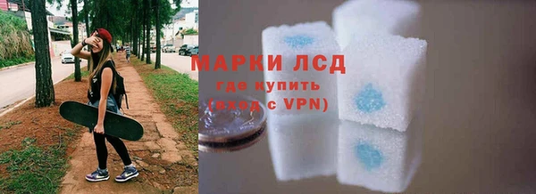 стаф Козельск
