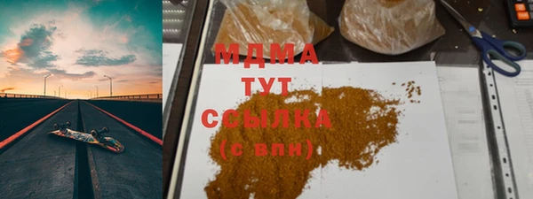 шишки Кодинск