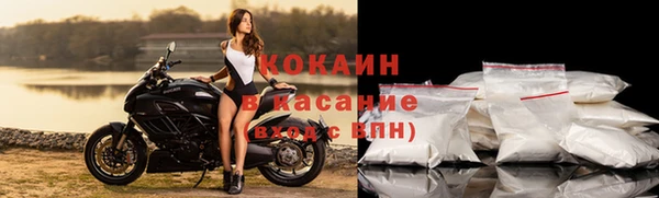 стаф Козельск