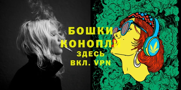 стаф Козельск