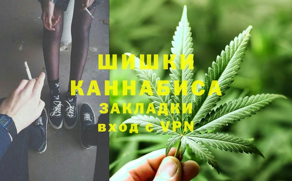 стаф Козельск