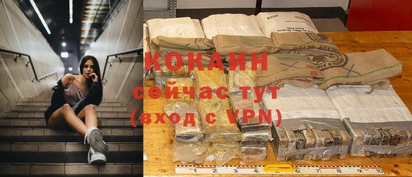 шишки Кодинск