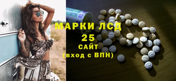 стаф Козельск