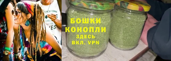 шишки Кодинск