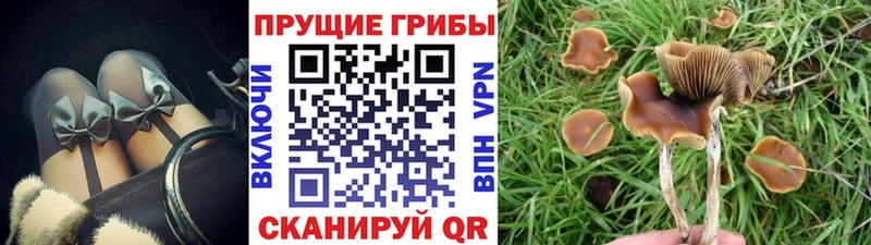 Псилоцибиновые грибы GOLDEN TEACHER Шарья
